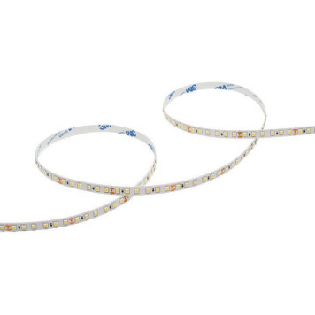 Лента светодиодная Wolta WLS2835-12W/6500/24H120-01-1