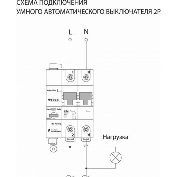 Автоматический выключатель 2P с Wi-Fi Werkel W1002P6301-3