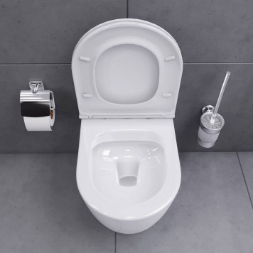 DX86C1700SC Унитаз подвесной безободковый, с сиденьем микролифт-3