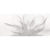 Decor Nagore Декор 27x60