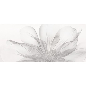 Decor Nagore Декор 27x60