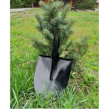 Трап Fachmann 122 x 122 мм T 310.0 SNsP г/затвор, горизонтальный выпуск 50/75/110 нержавеющая сталь-5