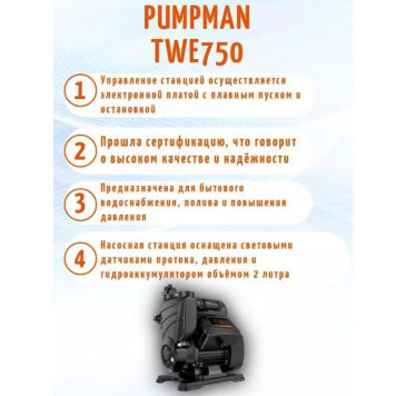 Насосная станция Pumpman TWE 750 с электронным управлением-2