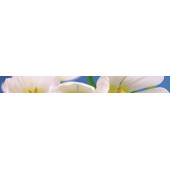 Blue garden Бордюр 6х60