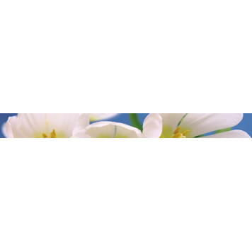 Blue garden Бордюр 6х60