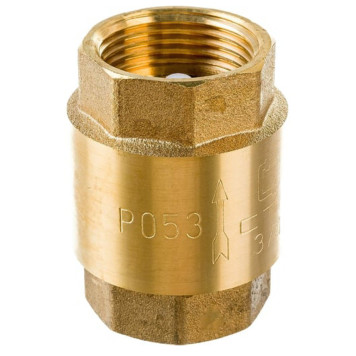 Клапан обратный 3/4 CTM