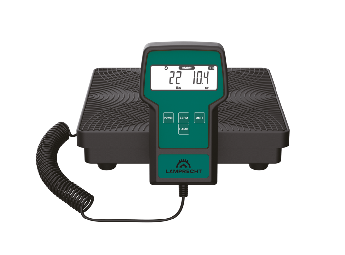 Платформенные весы